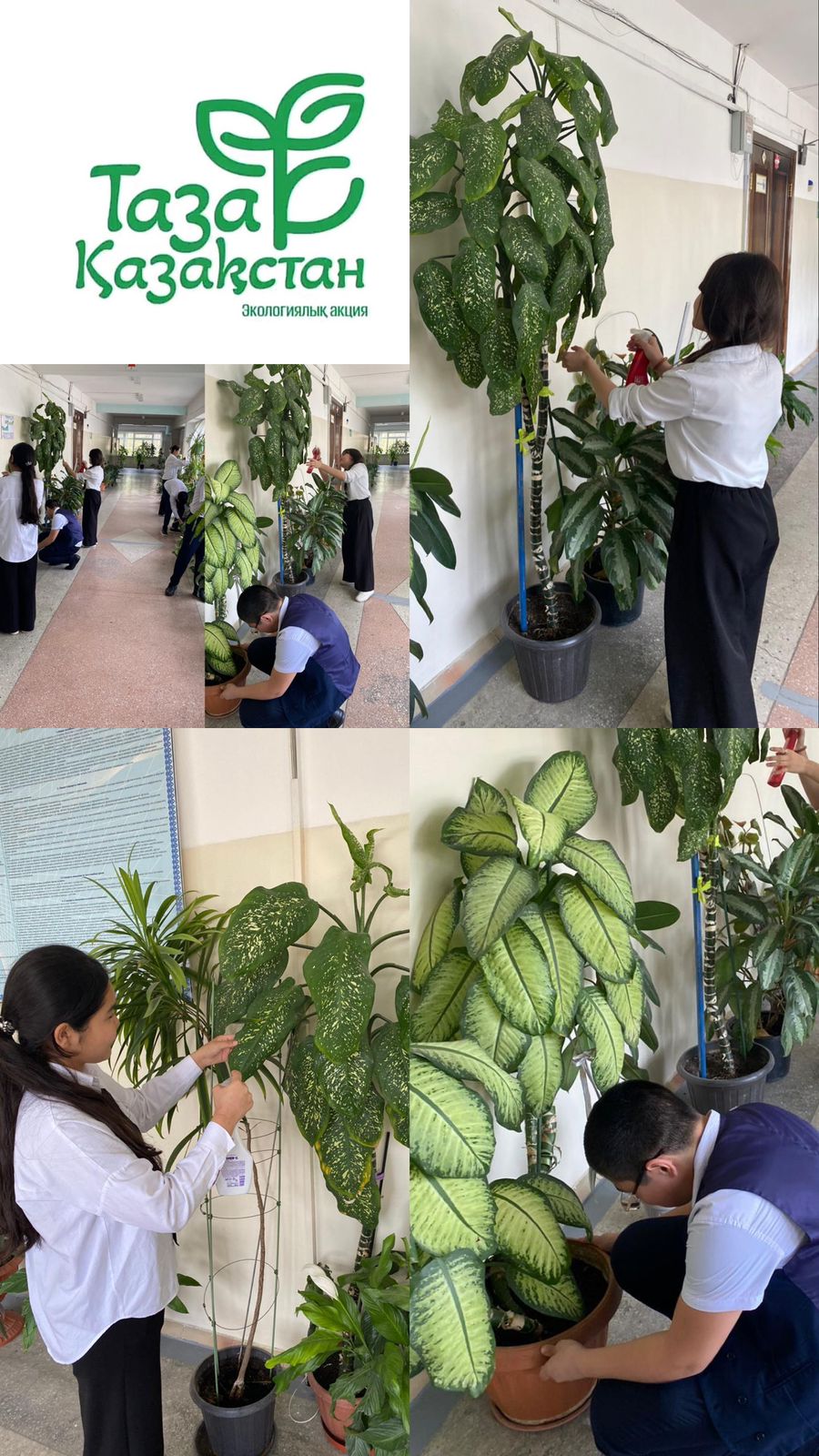 «Алматы – таза қала»